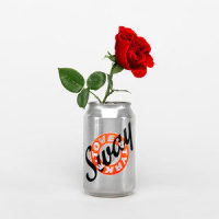 Vibe_Tove Styrke