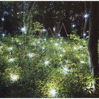 Garden of Love_MAKAI,青山黛玛