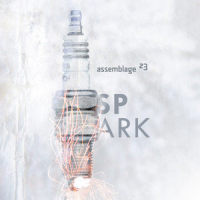 Spark_Assemblage 23