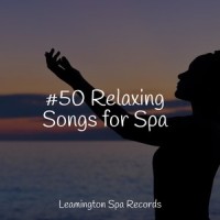 Forest Nature_Tranquil Music Sound of Nature,Natural Samples,Sol y Lluvia