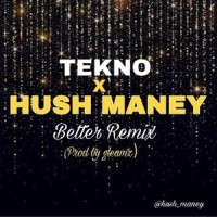 Better Remix_Tekno,Hush Maney