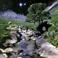 It's Not Too Beautiful_The Beta Band