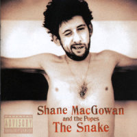 The Snake With Eyes Of Garnet_Shane MacGowan,The Popes