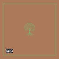 Roots_Cam Cole