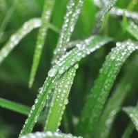 Focused Mood_Meditation Music Club,Pink Noise,Sounds of Nature White Noise for Mindfulness Meditation and Relaxation
