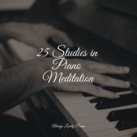 Endless Peace_Relaxing Classical Piano Music,Piano Pianissimo,Piano Bar Music Specialists