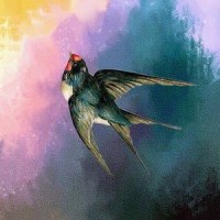 小燕子穿花衣_Lil Howcy