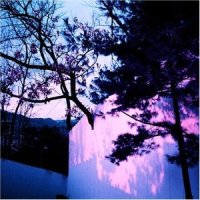 Curious_Anton Borin,Kilo Kish