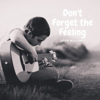 Don't Forget the Feeling_Josh Williams