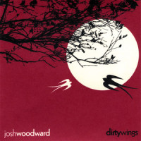 Gravity_Josh Woodward