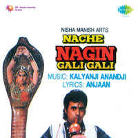 Jaise Bhi Tu Manega_Alka Yagnik