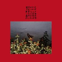 In Good Faith_Bonnie 'Prince' Billy