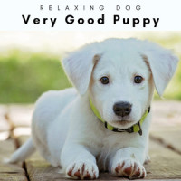 Peaceful Music for Pets(feat. Music for Pets Library, Dog Music Dreams & Biblioteca de Música Para Mascotas)_Sleepy Dogs,Music for Pets Library,Dog Music Dreams,Biblioteca de Música Para Mascotas