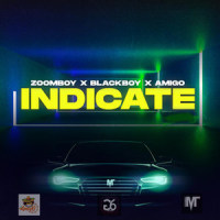 Indicate_Zoomboy,Blackboy,Amigo