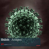 Antigen_Shiloh