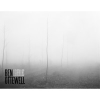 Lightbulbs_Ben Ottewell
