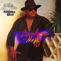 Mi Compañera_Lisandro Meza