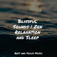 Wet Weather Whispers_The White Noise Zen & Meditation Sound Lab,Binaural Beats Brainwave Entrainment,Wellness
