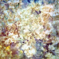 Life on My Own_Young Oceans