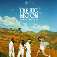 Waves_The Big Moon