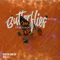 Butterflies Pt. 2_Queen Naija,Wale