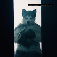 Walking on Air_iamamiwhoami,ionnalee,Jonna Lee,Claes Björklund