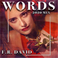 Words_F.R. David