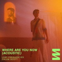 Where Are You Now_Lost Frequencies,Calum Scott