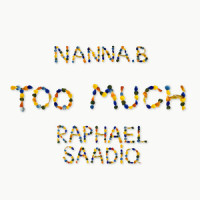 Too Much_Nanna.B,Raphael Saadiq