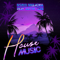 House Music_Boris Brejcha,Arctic Lake