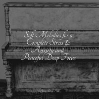 Free Focus_Chakra Balancing Sound Therapy,Piano Pianissimo,RPM (Relaxing Piano Music)