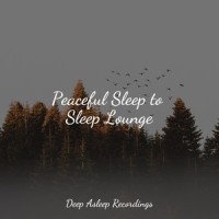 Life_Sleep Sounds of Nature,Sleepy Times,Entspannungsmusik