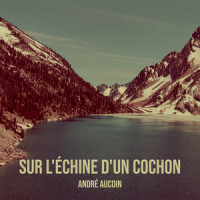 Du Sel dans la blessure_André Aucoin