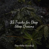 Ethereal Vibrations_Relaxing Nature Music,Best Kids Songs,Sleepy Times