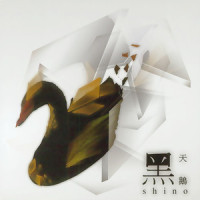 黑天鹅_林晓培