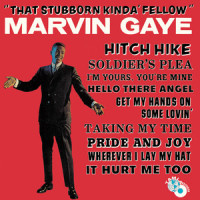 I'm Yours, You're Mine_Marvin Gaye