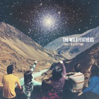 Leave Your Light On_The Wild Feathers