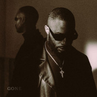 Gone_Vague Detail,Kaleem Taylor,The Code