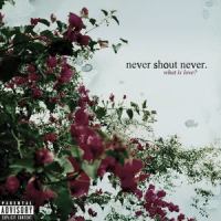 The Past_Never Shout Never