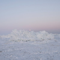 Long Grass_billy woods,Pink Siifu,Akai Solo