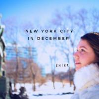 New York City in December_Shira