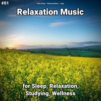 Amazing Ambient_Yoga,Relaxing Music,Deep Sleep
