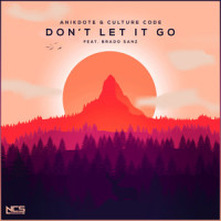 Don't Let It Go_Anikdote,Brado Sanz,Culture Code