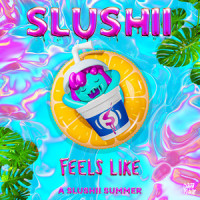 Feels Like_Slushii