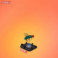 80deg_AUDREY NUNA
