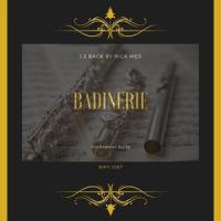 Suite No. 2 in B minor, BWV 1067: Badinerie_Nick Med,Johann Sebastian Bach