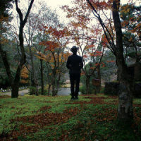 城市足印(City Footprints)_林一峰