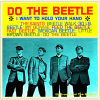 Mexican Beetle_B. BROCK,The Sultans