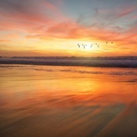 Harmony for Life_Spa,Nature Sound Collection,Rain for Deep Sleep
