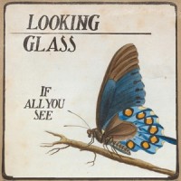 Prisms_Looking Glass